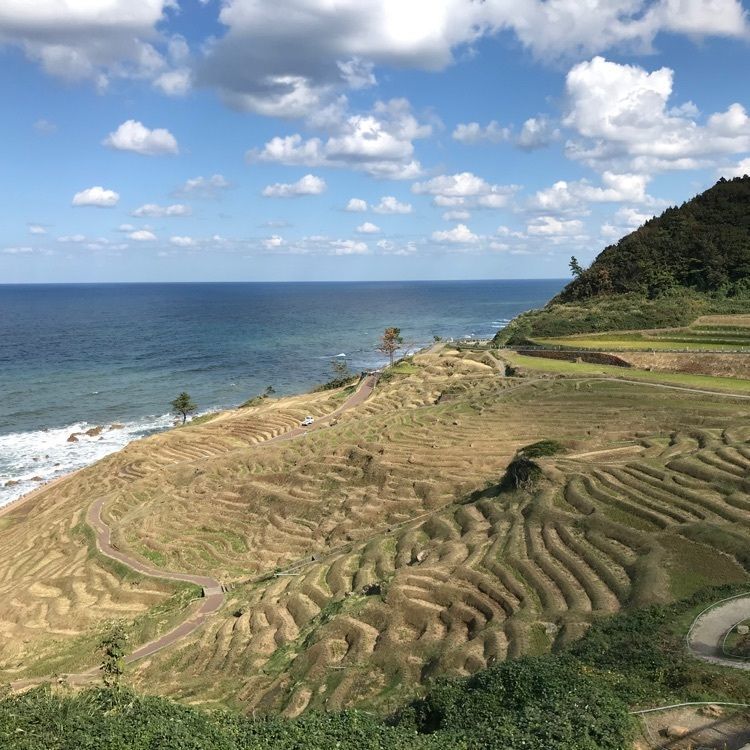 ハルさんが投稿した永井豪記念館に関する口コミの画像