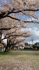 蔵の家