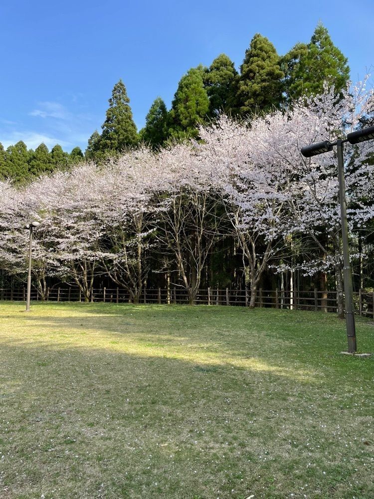 TK_RO_0sa6,さんが投稿した霧島山麓丸池湧水に関する口コミの画像