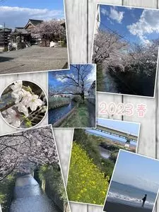 酒匂川左岸サイクリング場