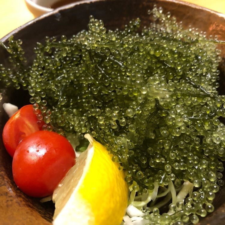 seijiさんが投稿した南風 本店に関する口コミの画像