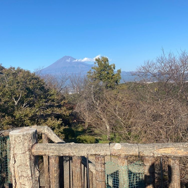 RIMさんが投稿した実相寺に関する口コミの画像