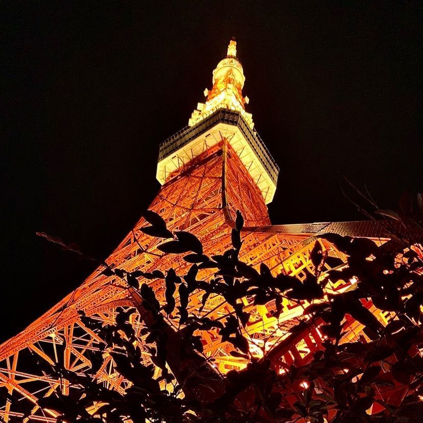 ＪＵNさんが投稿した東京タワーに関する口コミの画像