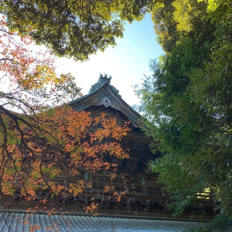 きなこさんが投稿した金刀比羅宮に関する口コミの画像