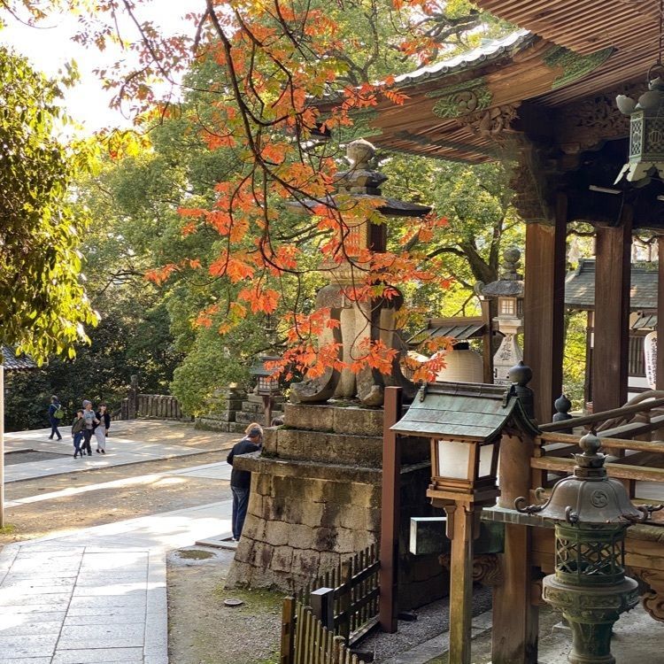 きなこさんが投稿した金刀比羅宮に関する口コミの画像