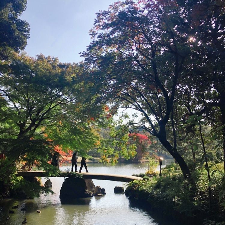 kayukopi さんが投稿した画像の画像
