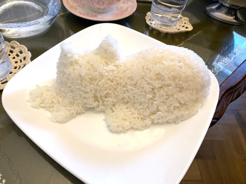 シルバーさんが投稿したBlue&Fawn（ブルー&フォーン）に関する口コミの画像