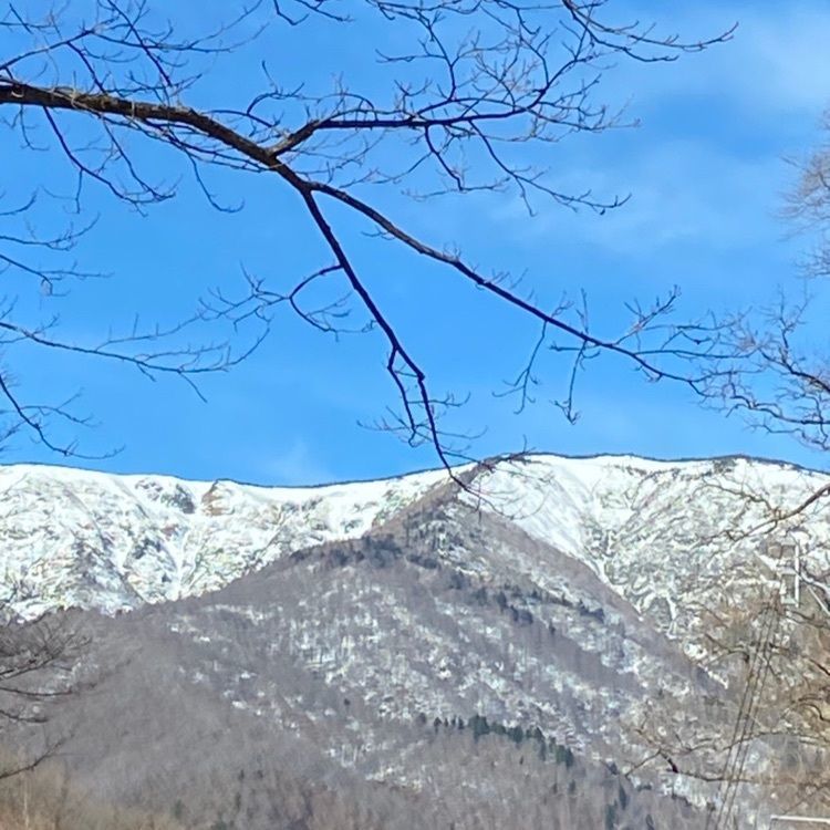 さんぴん茶さんが投稿した檜枝岐川に関する口コミの画像