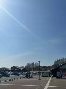 メタセの杜