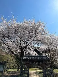 峠の釜めし本舗 おぎのや 上信越自動車道横川サービスエリア(上り線)店（荻野屋）