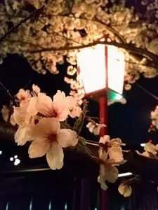 郡山城跡（大和郡山市）