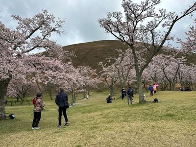 さくらの里 8枚目