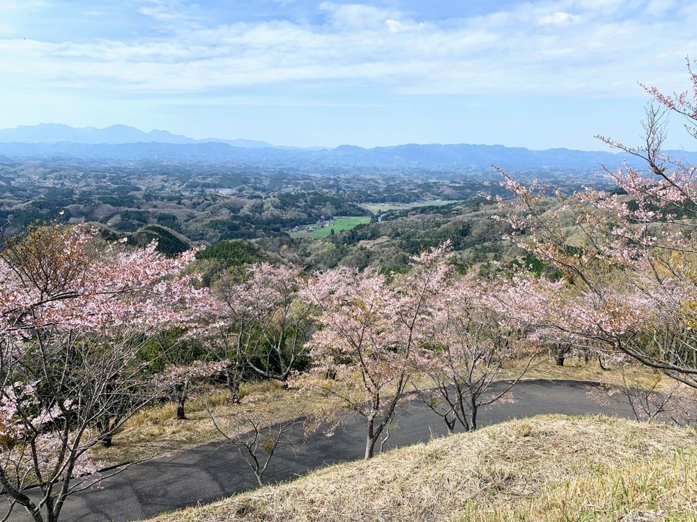 formal_cafeteria_8688さんが投稿した御嶽神社に関する口コミの画像