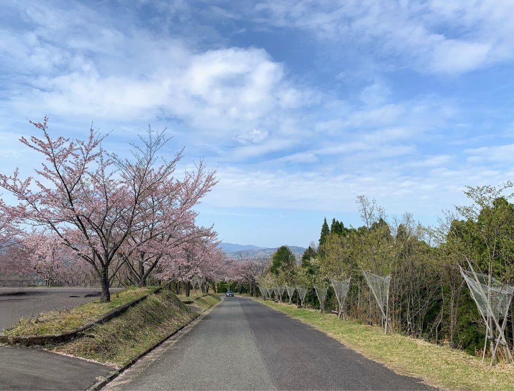 formal_cafeteria_8688さんが投稿した御嶽神社に関する口コミの画像