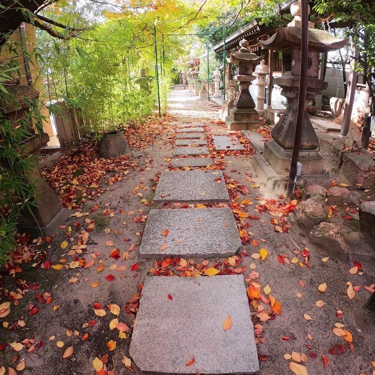 ruujunさんが投稿した本住吉神社に関する口コミの画像