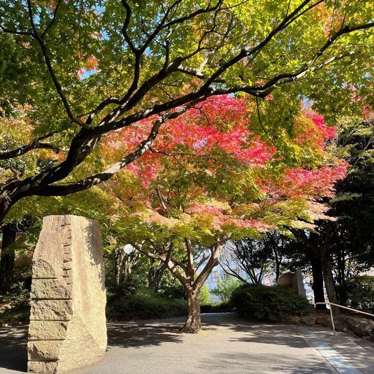 UchindaYoさんが投稿した紅葉山公園に関する口コミの画像