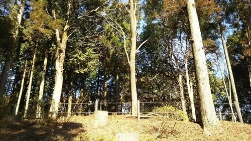 国指定史跡山中城跡