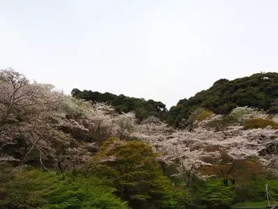 奥山公園