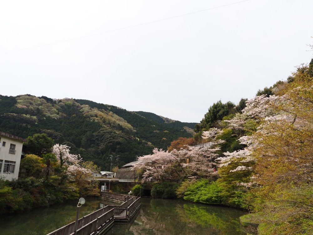 Howl Monさんが投稿した奥山公園に関する口コミの画像