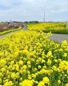 谷中村史跡保全ゾーン