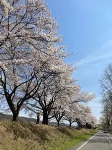 那珂川河畔公園