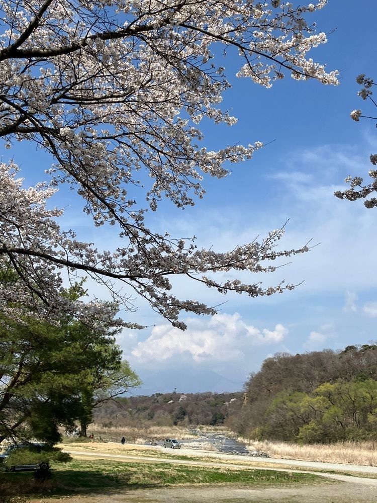 momochiさんが投稿した那珂川河畔公園に関する口コミの画像