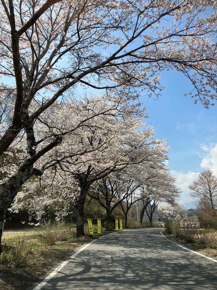 momochiさんが投稿した那珂川河畔公園に関する口コミの画像