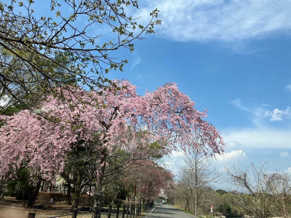 momochiさんが投稿した那珂川河畔公園に関する口コミの画像