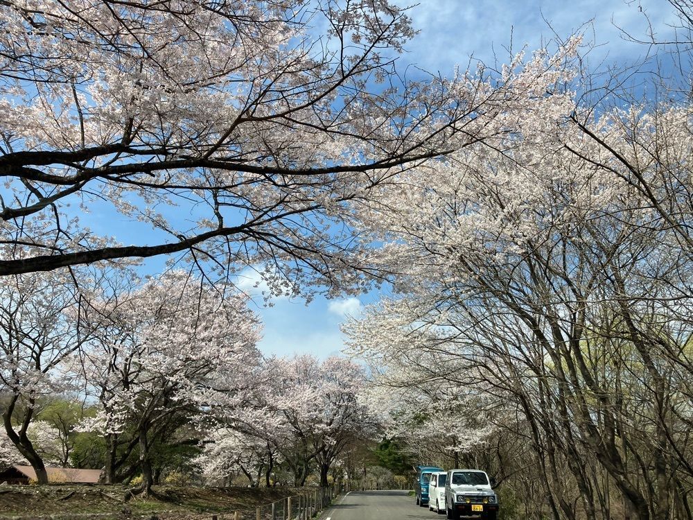 momochiさんが投稿した那珂川河畔公園に関する口コミの画像
