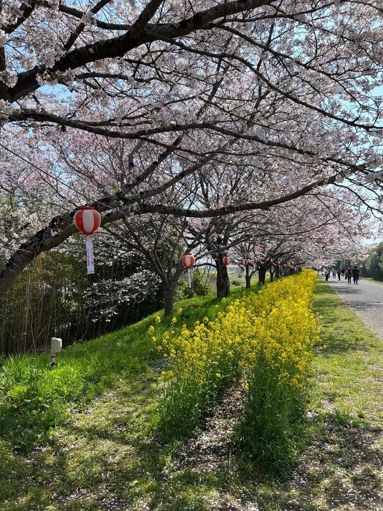 hu4378さんが投稿した辰ノ口親水公園に関する口コミの画像