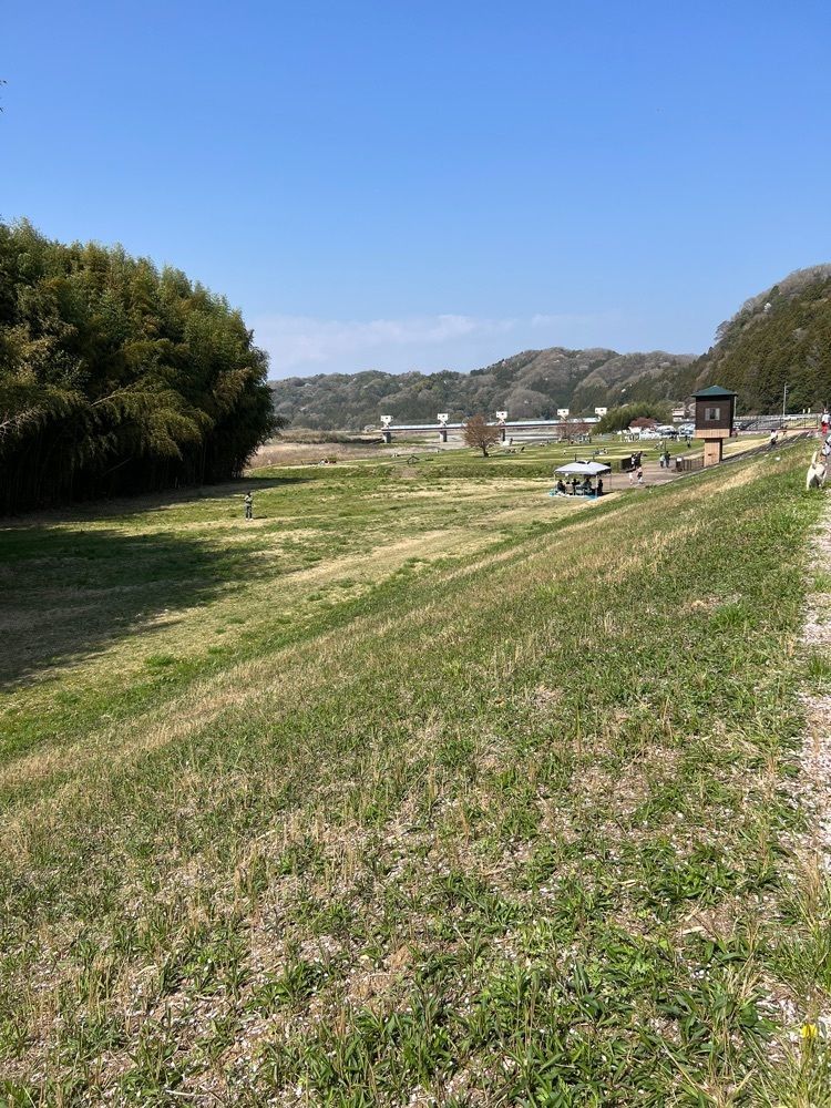 hu4378さんが投稿した辰ノ口親水公園に関する口コミの画像