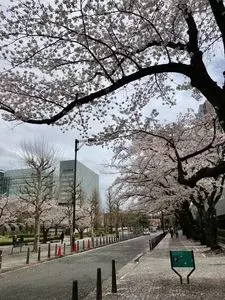 すずかけ公園