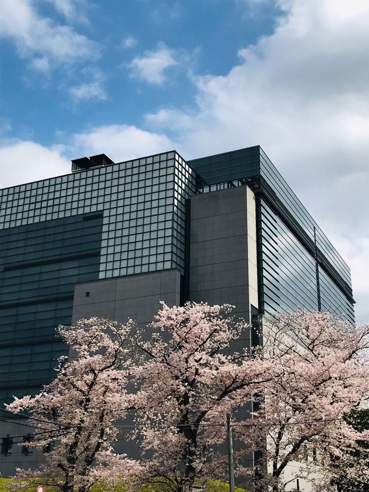 MICHIさんが投稿したすずかけ公園に関する口コミの画像