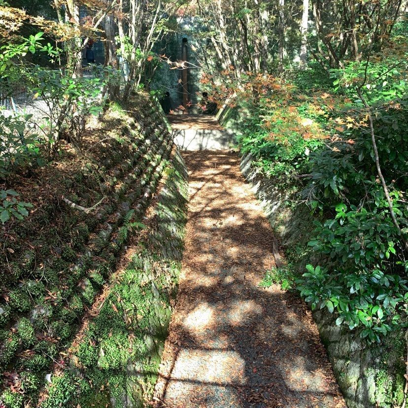 makiさんが投稿した大矢田神社に関する口コミの画像