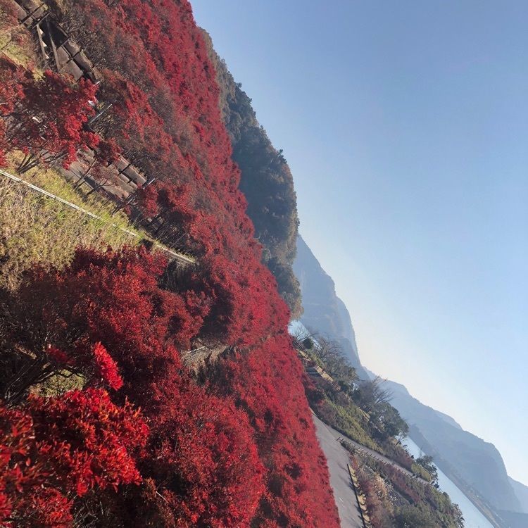としとしさんが投稿した宮ヶ瀬ダム水とエネルギー館に関する口コミの画像