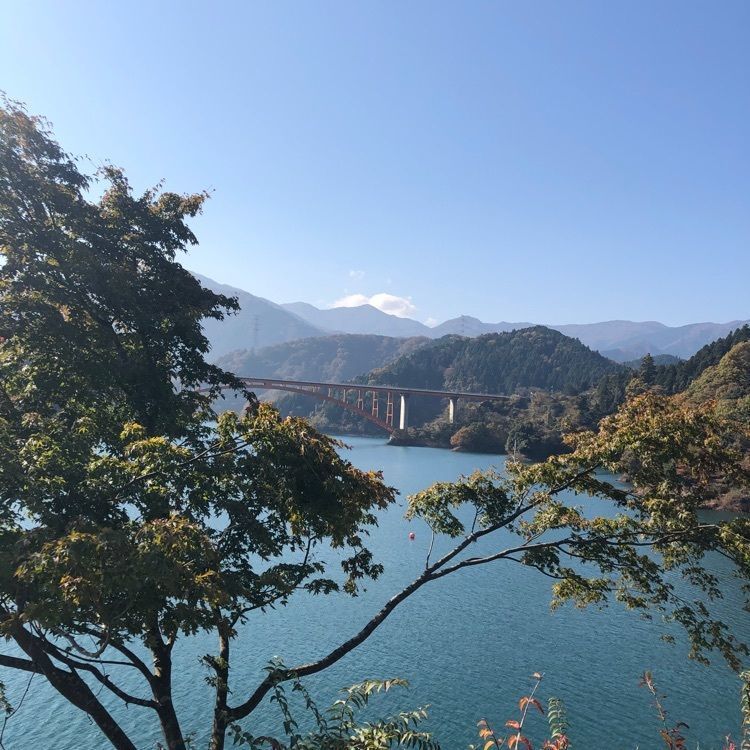としとしさんが投稿した宮ヶ瀬ダム水とエネルギー館に関する口コミの画像