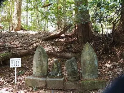 桜淵公園