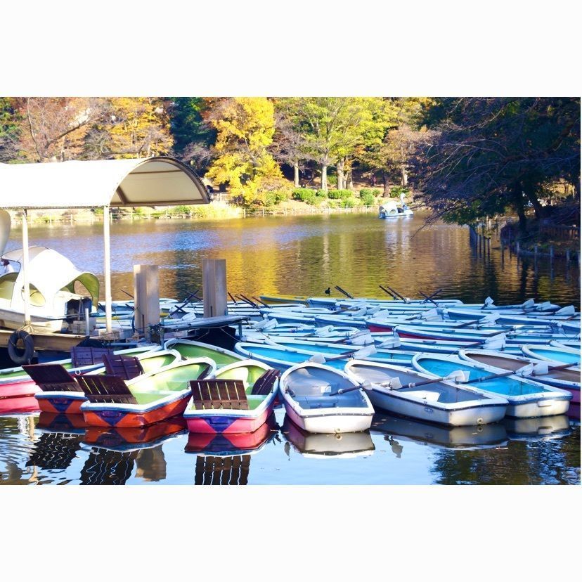 junkunさんが投稿した焼き鳥とおばんざい さかもとに関する口コミの画像