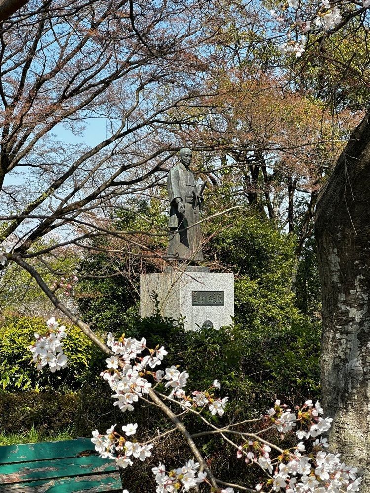 かめ_メグミさんが投稿したふじや千舟 本店（せんしゅう）に関する口コミの画像