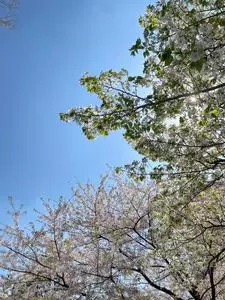 中野セントラルパーク