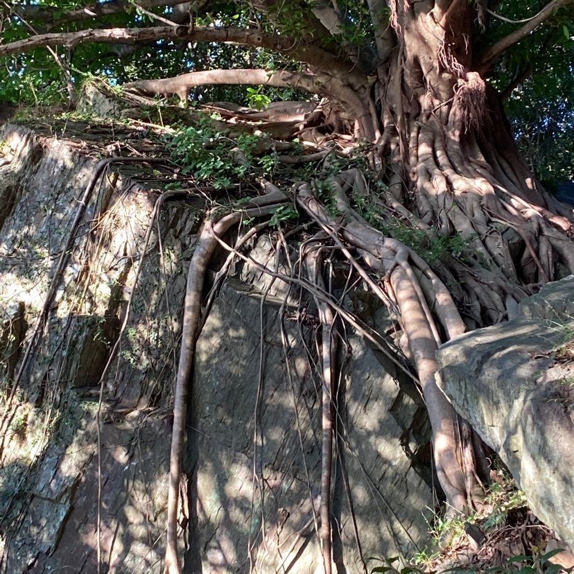 familiar_tourism_c992イーコさんが投稿した棚底諏訪神社に関する口コミの画像