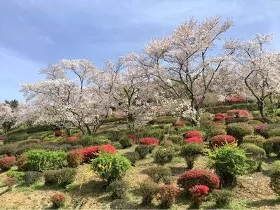 日輪寺公園のツツジ
