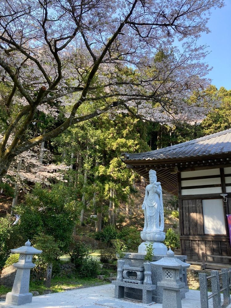 Howl Monさんが投稿した満光寺に関する口コミの画像