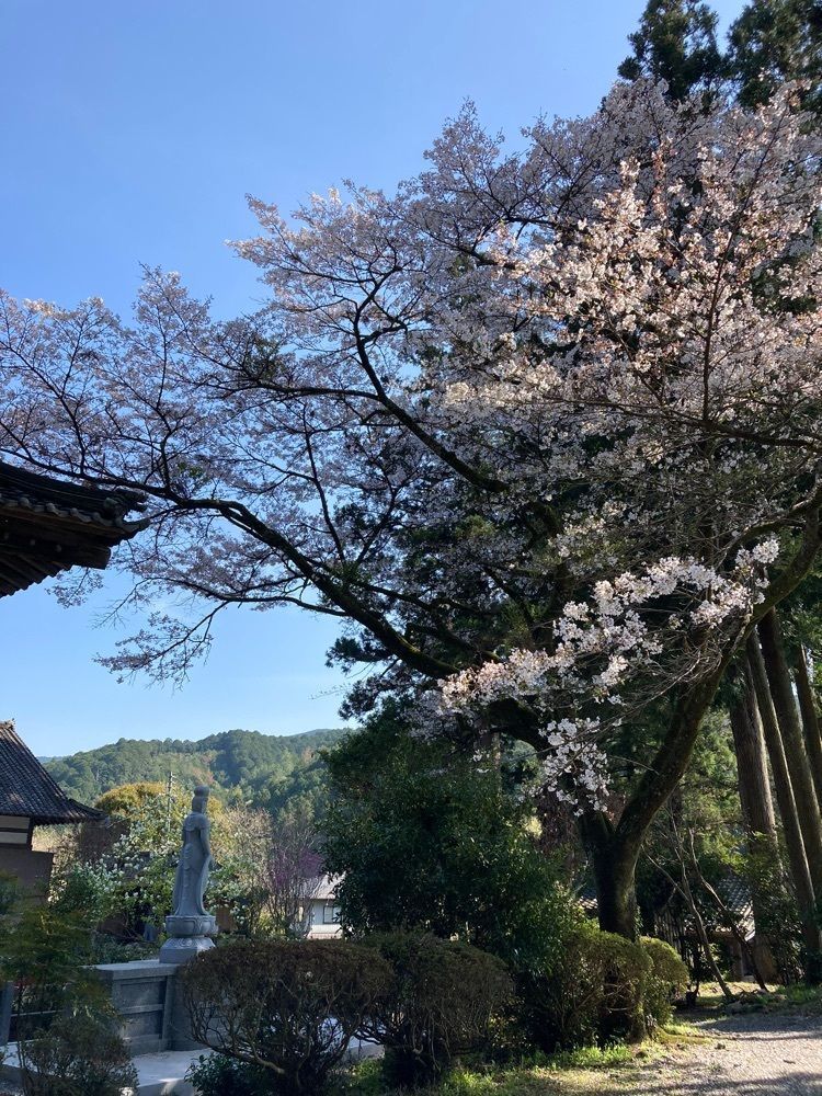 Howl Monさんが投稿した満光寺に関する口コミの画像