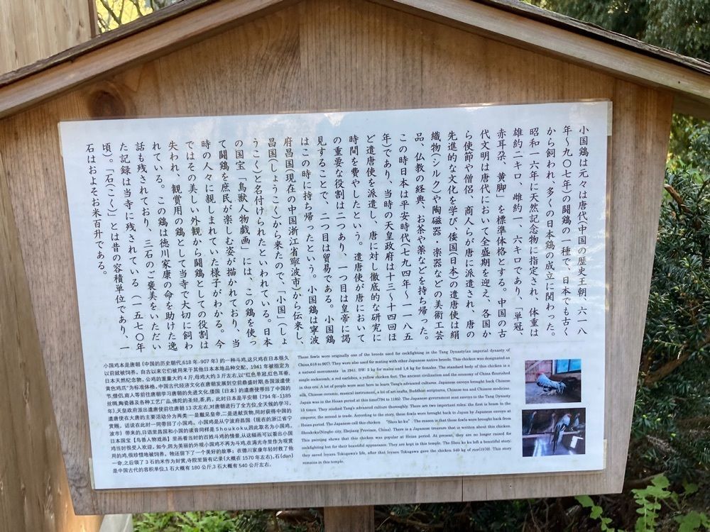 Howl Monさんが投稿した満光寺に関する口コミの画像