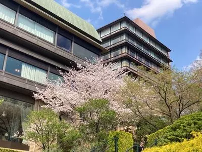 椿山荘 庭園
