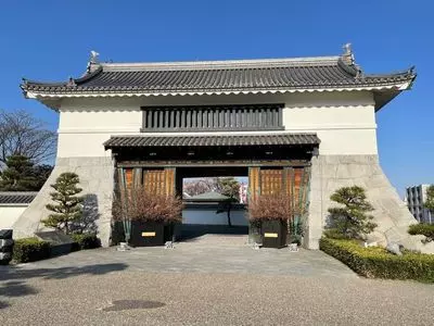 岡崎公園の桜