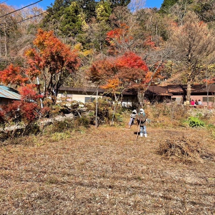 madone_takeshiさんが投稿したそば道場（そばどうじょう）に関する口コミの画像