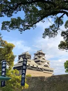 熊本城の桜