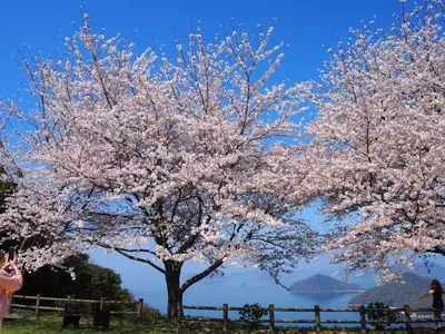 紫雲出山